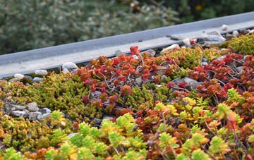 the cost of Hardley green roof installation