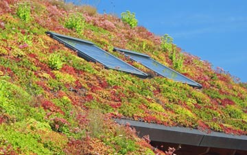 Hardley living roof systems